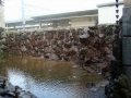 Kinosaki
